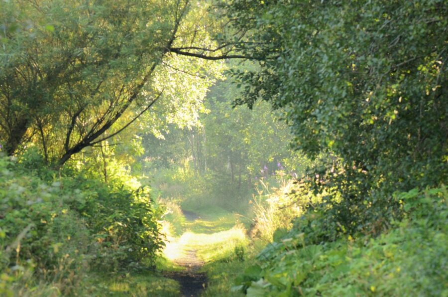 A working walk around a wildlife haven