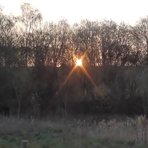 Sights and Sounds from Hogshaw Nature Reserve
