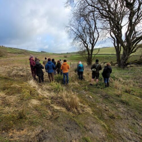 Early Spring Dawn Chorus Walk
