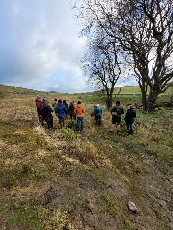 Spotting curlew on the dawn chorus walk