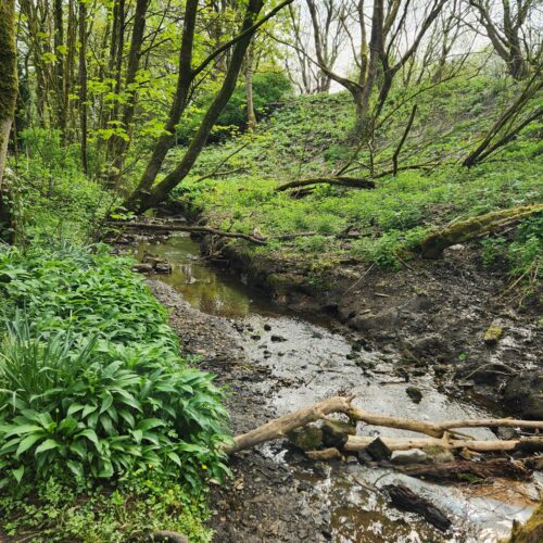 April: Nunsbrook