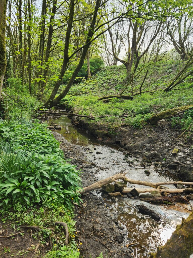 Nunsbrook