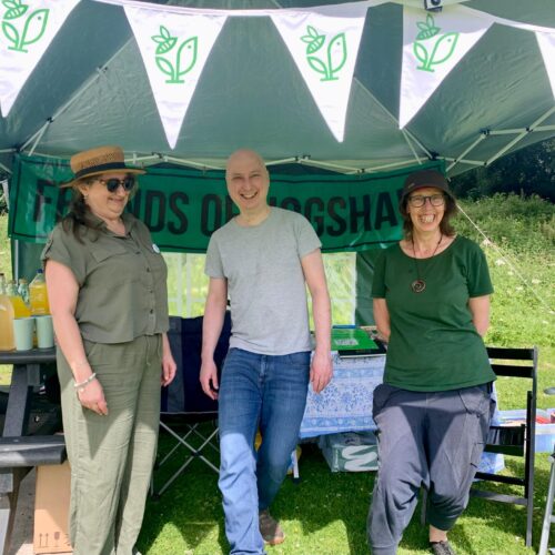 A Week to Celebrate Hogshaw